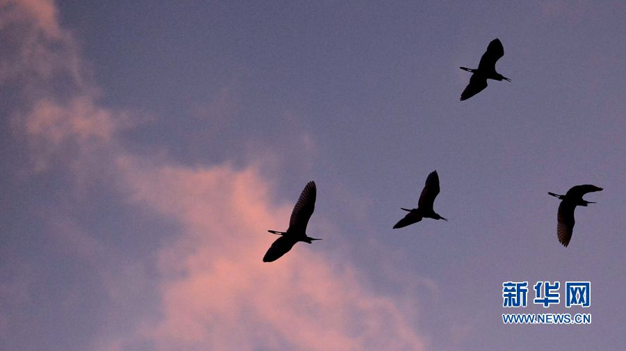 �������(y��ng):��ˮ�{(l��n)�� ���C֮��