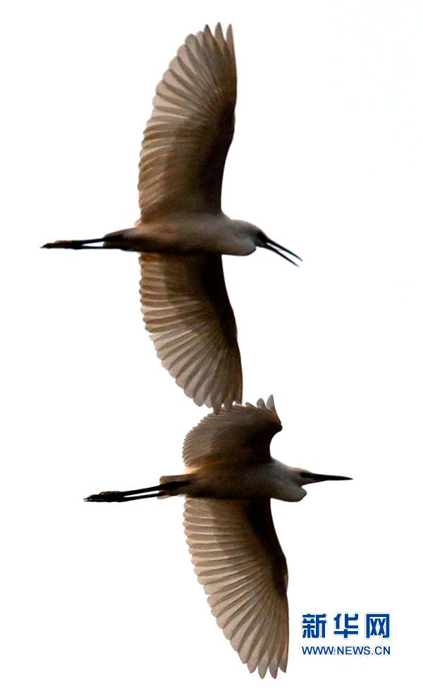 �������(y��ng):��ˮ�{(l��n)�� ���C֮��