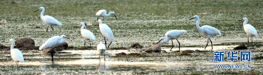 �������(y��ng):��ˮ�{(l��n)�� ���C֮��