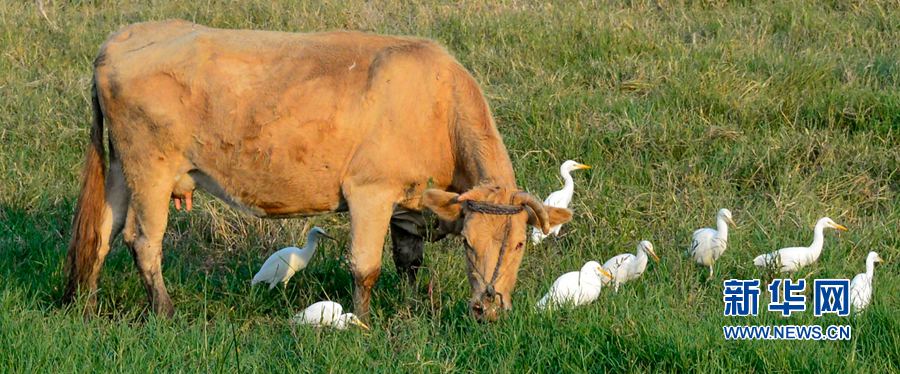 �������(y��ng):��ˮ�{(l��n)�� ���C֮��