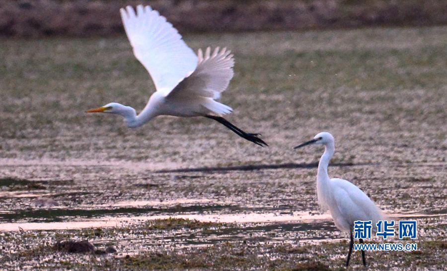 �������(y��ng):��ˮ�{(l��n)�� ���C֮��