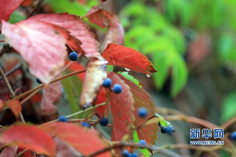 �_(k��i)��:һ��(ch��ng)�������~�S