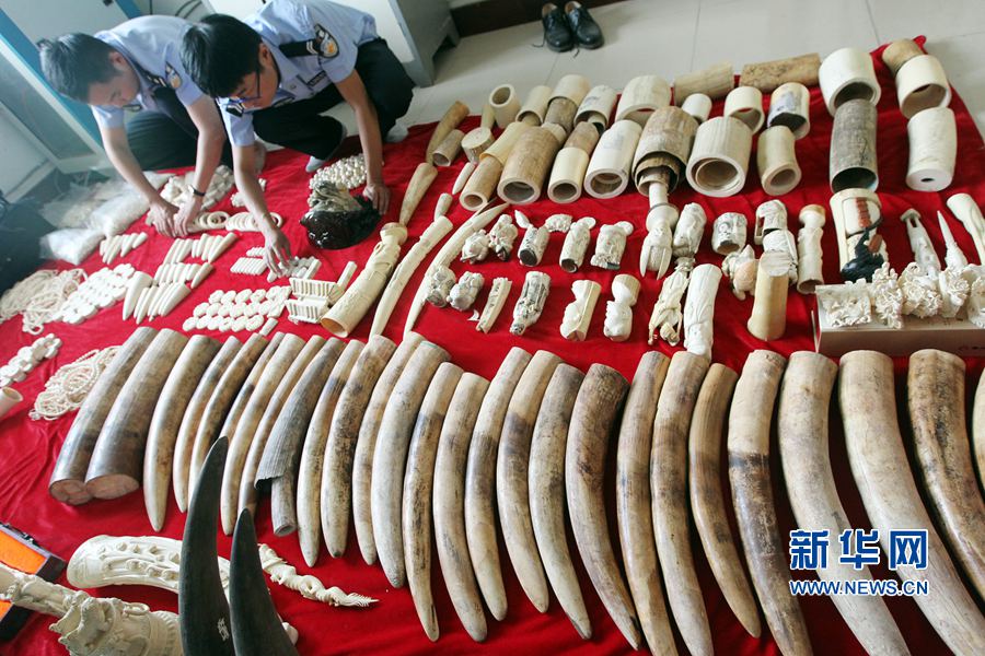 �����S����@������Ʒ207.4����