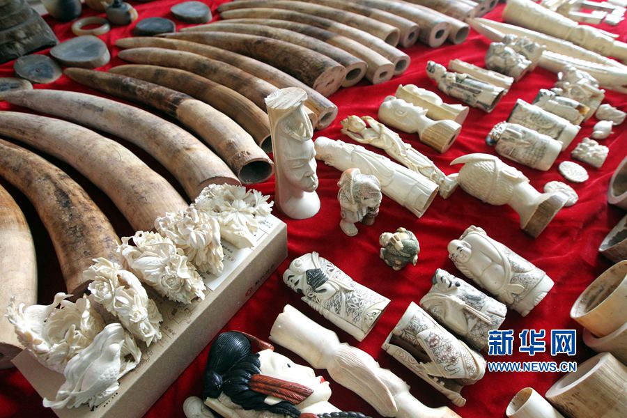 �����S����@������Ʒ207.4����