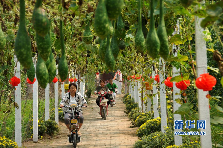 ���σ��S:���l(xi��ng)������������Óؚ