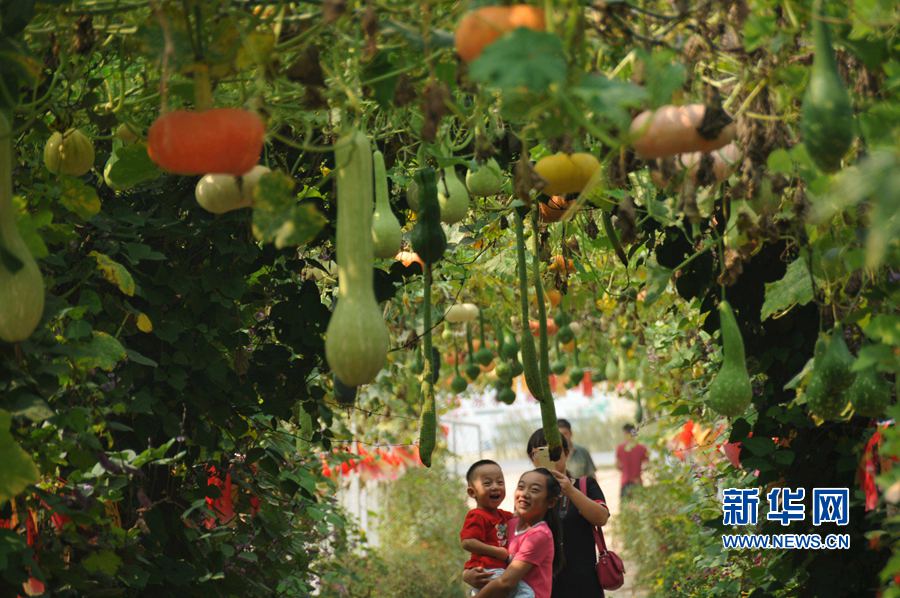 ���σ��S:���l(xi��ng)������������Óؚ