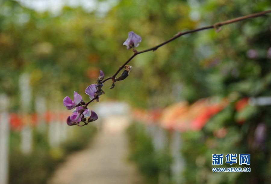 ���σ��S:���l(xi��ng)������������Óؚ