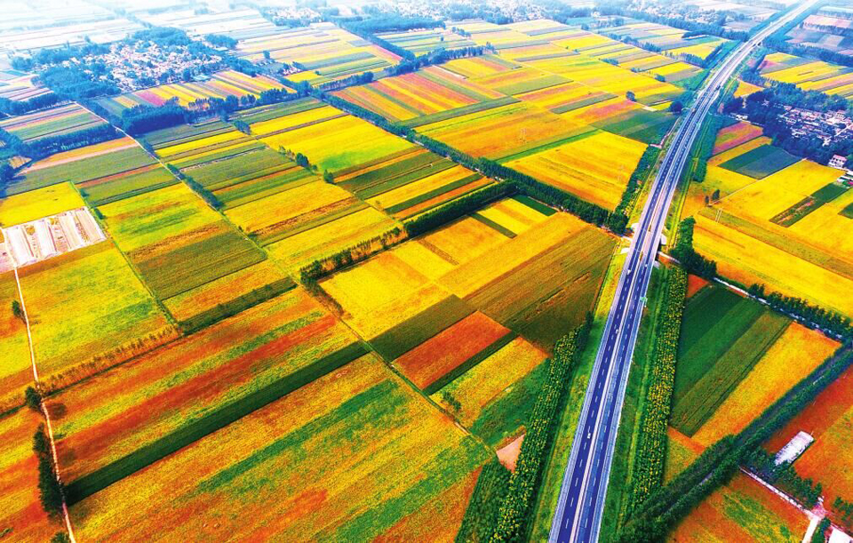 ��ɫ���� ���l(xi��ng)��ԭ���ի@��ů�ĸC