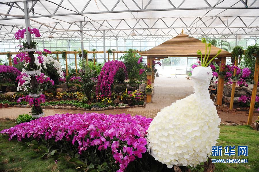 ����ʡ�����ú����mչ���ڱ���28���_Ļ