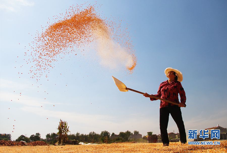 ��������:����Õ���