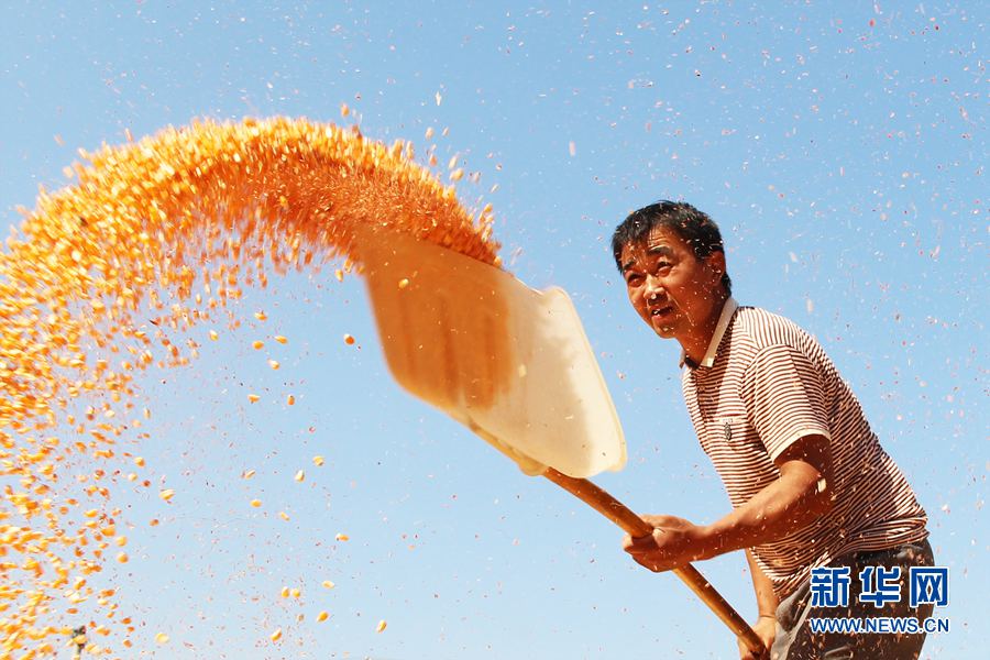 ��������:����Õ���