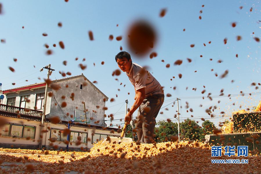 ��������:����Õ���