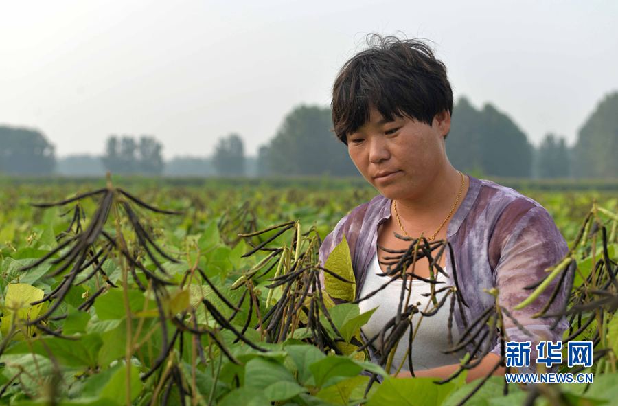 �OƼ:�I(y��)�r(n��ng)�������ӟ��ɵ�