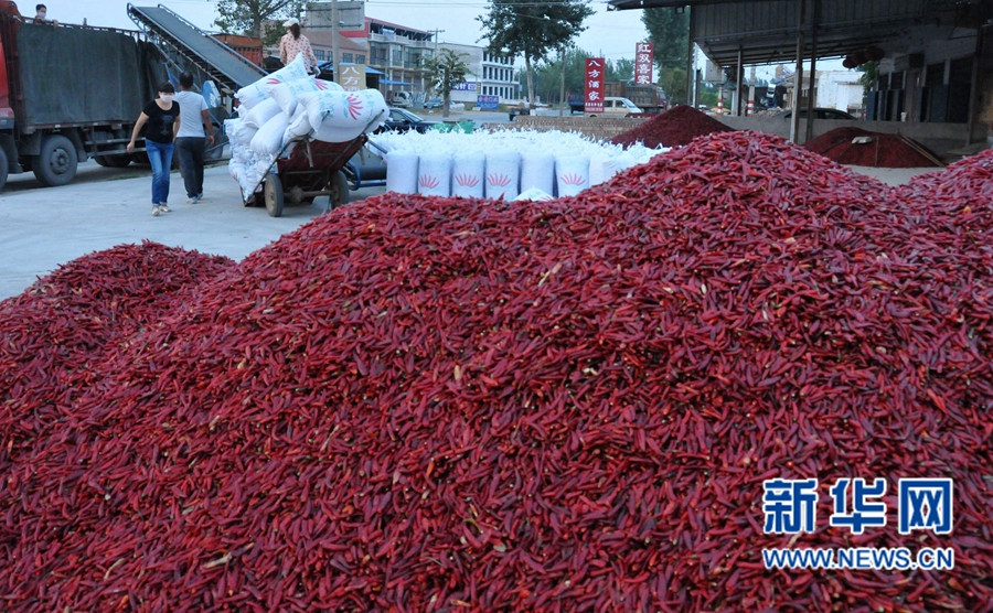 ���σ�(n��i)�S:�⽷�S���r(n��ng)��