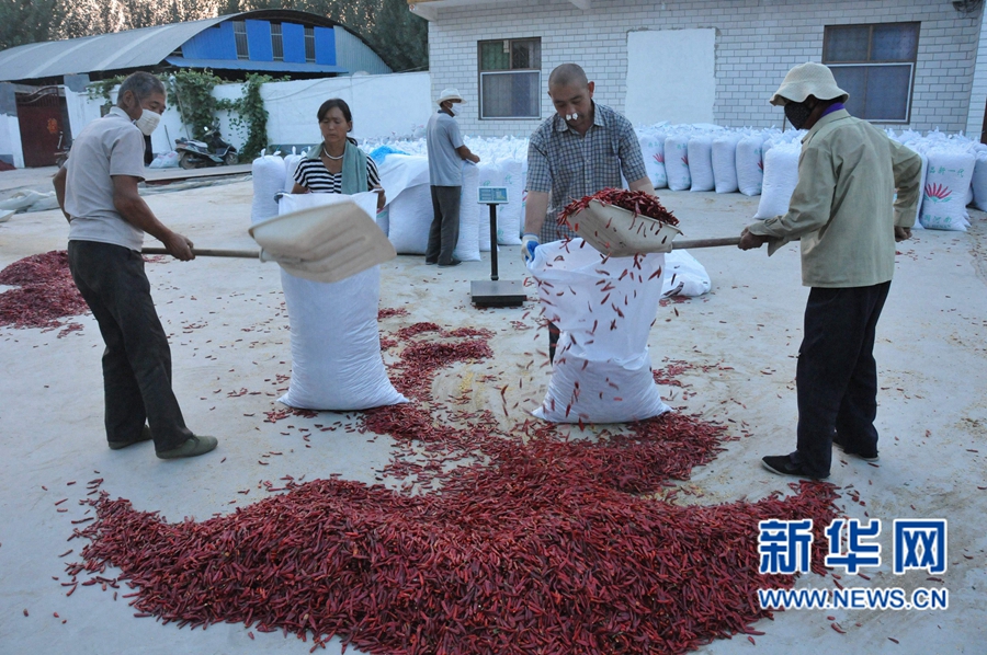 ���σ�(n��i)�S:�⽷�S���r(n��ng)��