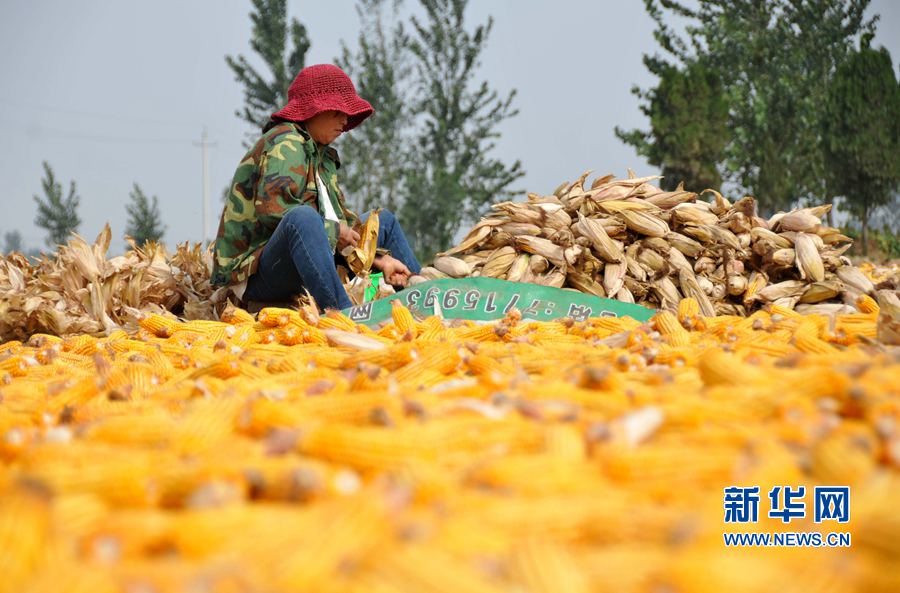 ���σ�(n��i)�S:�r(n��ng)æ�r(sh��)��(ji��)�����