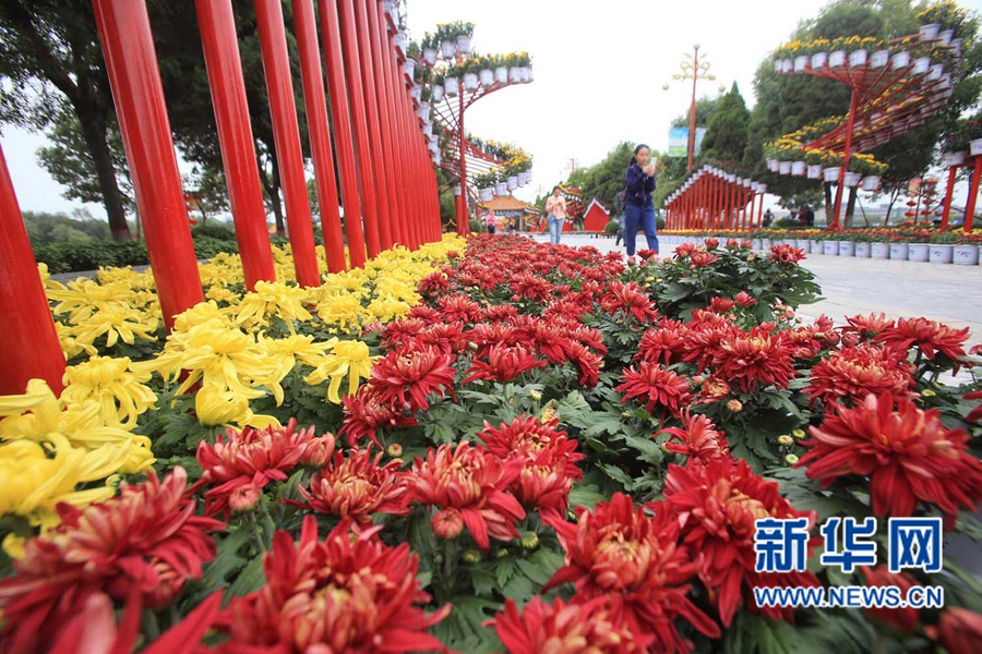 ���F(tu��n)�\�� �����_(k��i)��