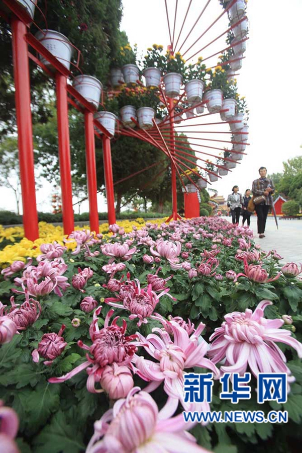 ���F(tu��n)�\�� �����_(k��i)��