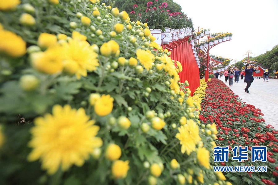 ���F(tu��n)�\�� �����_(k��i)��