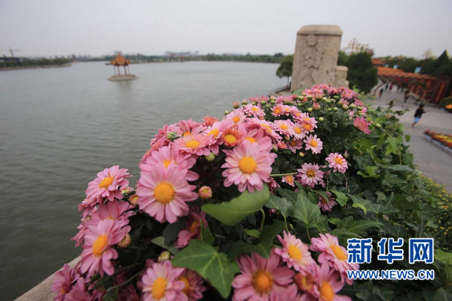 ���F(tu��n)�\�� �����_(k��i)��