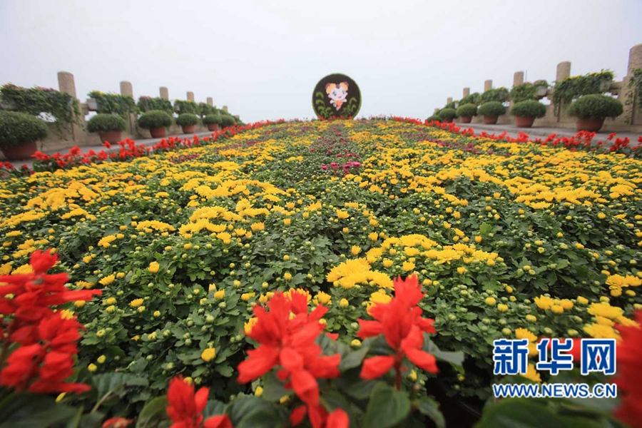 ���F(tu��n)�\�� �����_(k��i)��