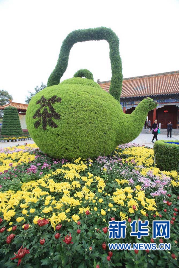 ���F(tu��n)�\�� �����_(k��i)��