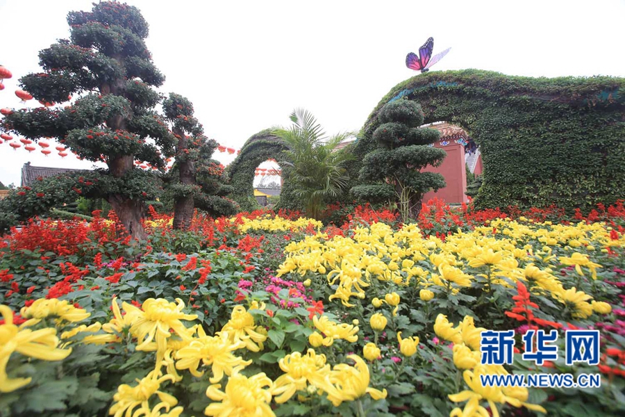 ���F(tu��n)�\�� �����_(k��i)��