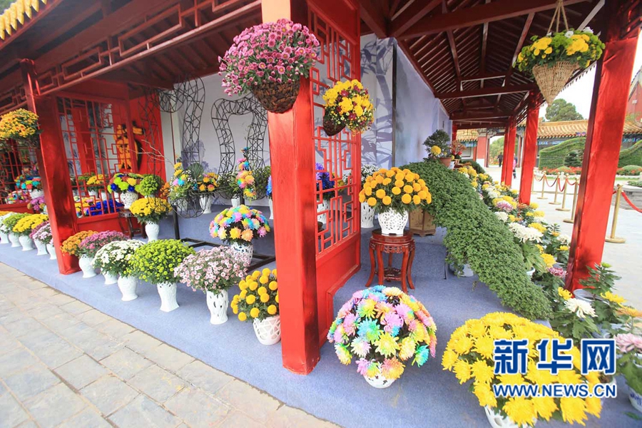 ���F(tu��n)�\�� �����_(k��i)��