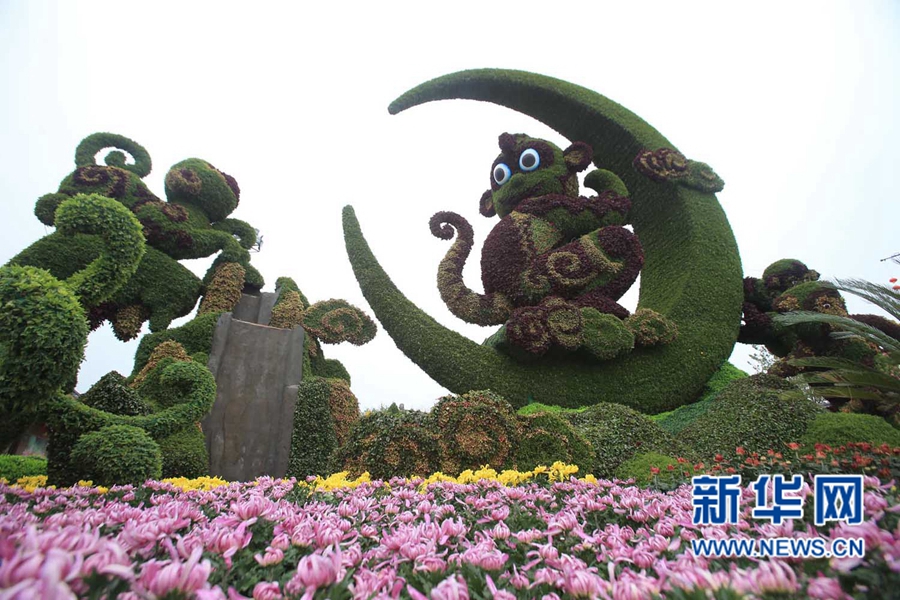 ���F(tu��n)�\�� �����_(k��i)��