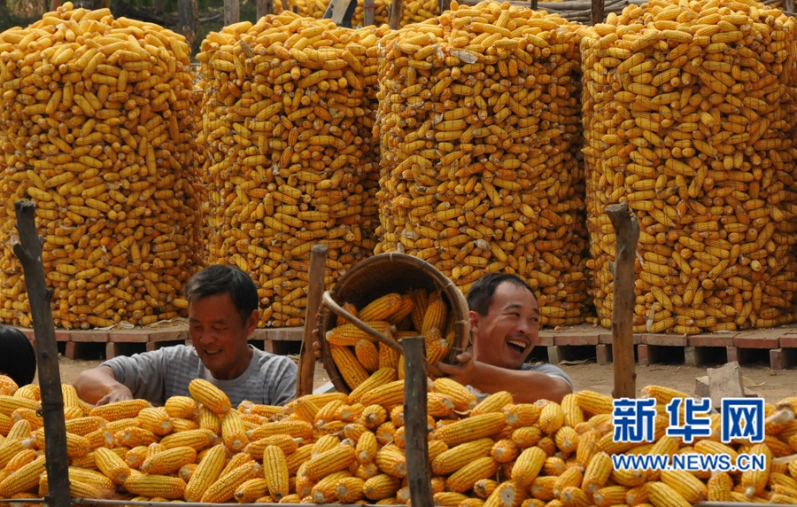 ���σ�(n��i)�S:�����S�Օ���æ