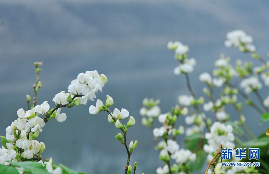 ����¶����,�����p