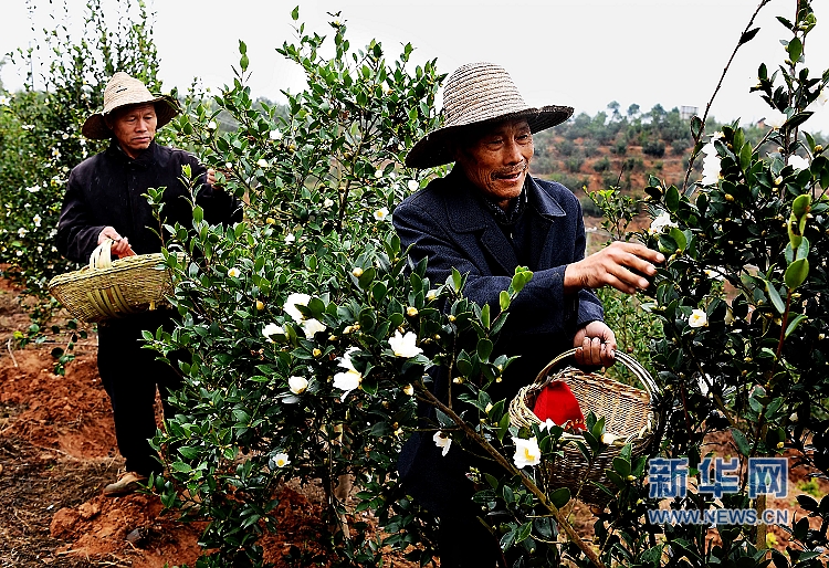 ���Ϲ�ɽ:��ɫ�a(ch��n)�I(y��)�������ʷ�ؚ