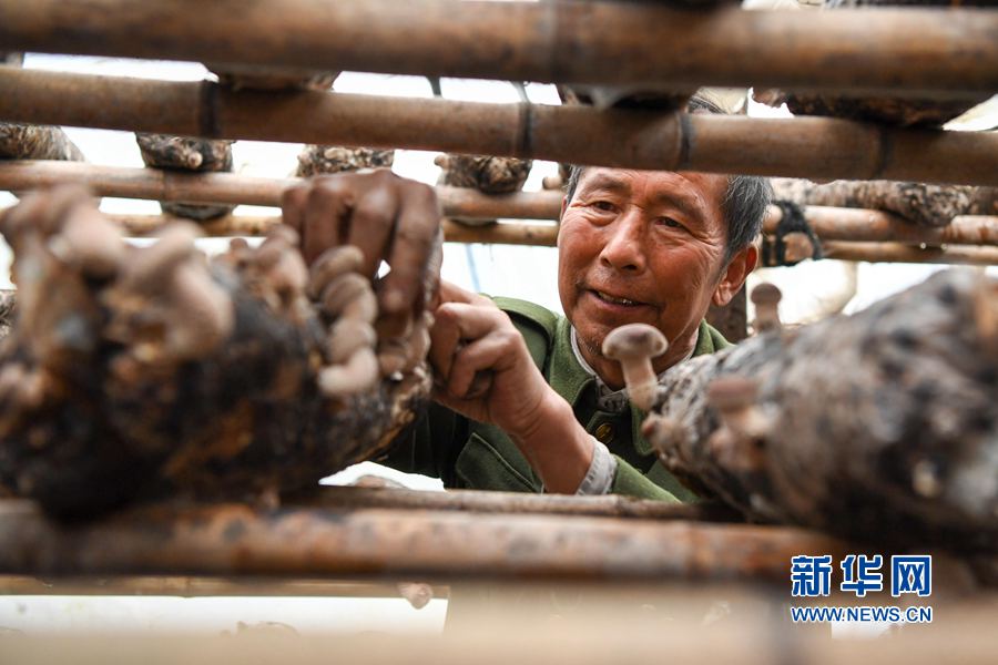 ���ϱR��:ʳ�þ��a(ch��n)�I(y��)���r(n��ng)��