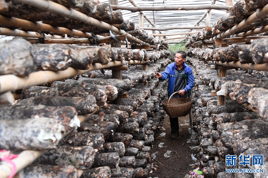 ɽ�^(q��)��(d��)���r(n��ng)�������Nֲ�㹽����(d��ng)����Óؚ�¸�