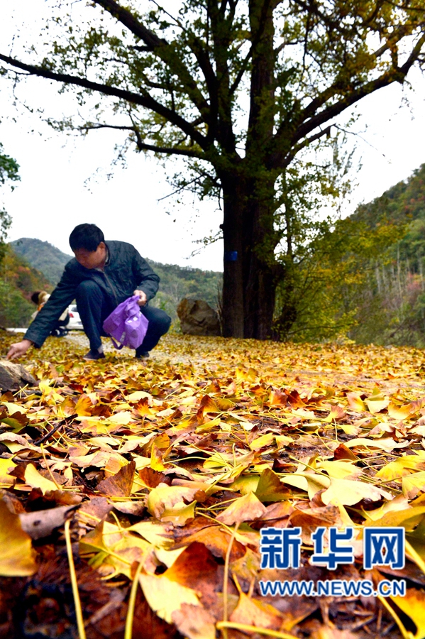 �����Կh:ǧ���y�Ә�,�~�S�׹���