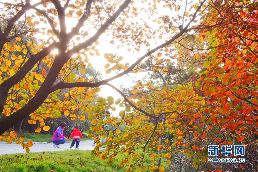 �����ꖣ�����ɽ���������