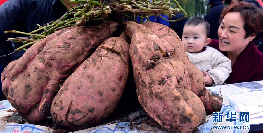 �t�������ޡ�,���ߞ���