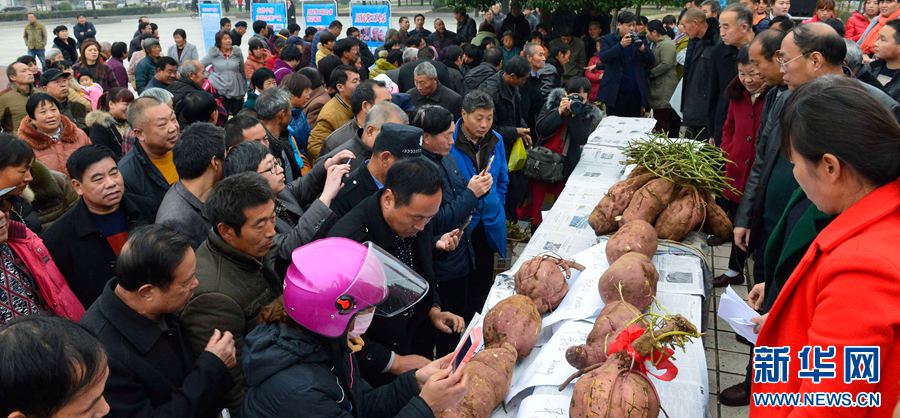 �t�������ޡ�,���ߞ���