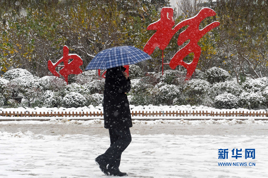 ��ѩ����ԭ Ӱ�������