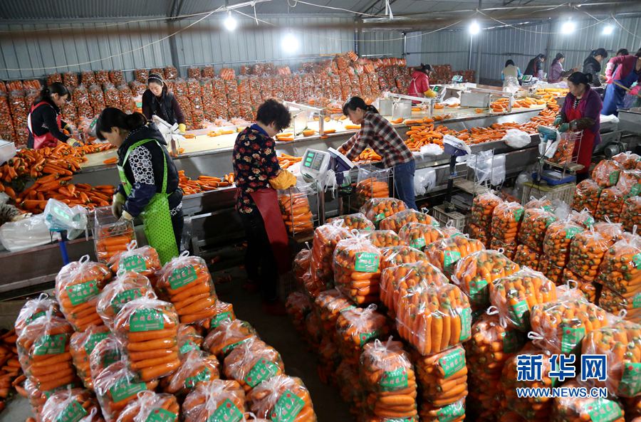 ���Ϝؿh:��t���}�����r��