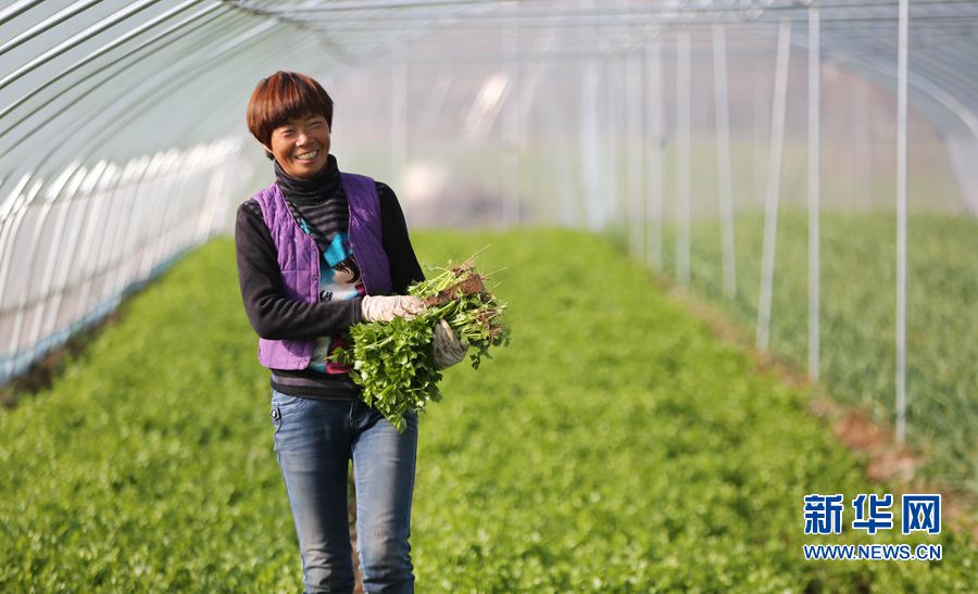 ��������:ؚ�������¸���