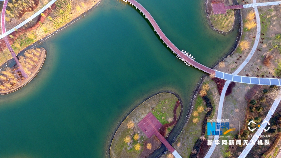 ���o(w��)�˙C(j��)���ġ��F����ɢ�{(l��n)��F(xi��n)  ܽ�غ����S��ٝ