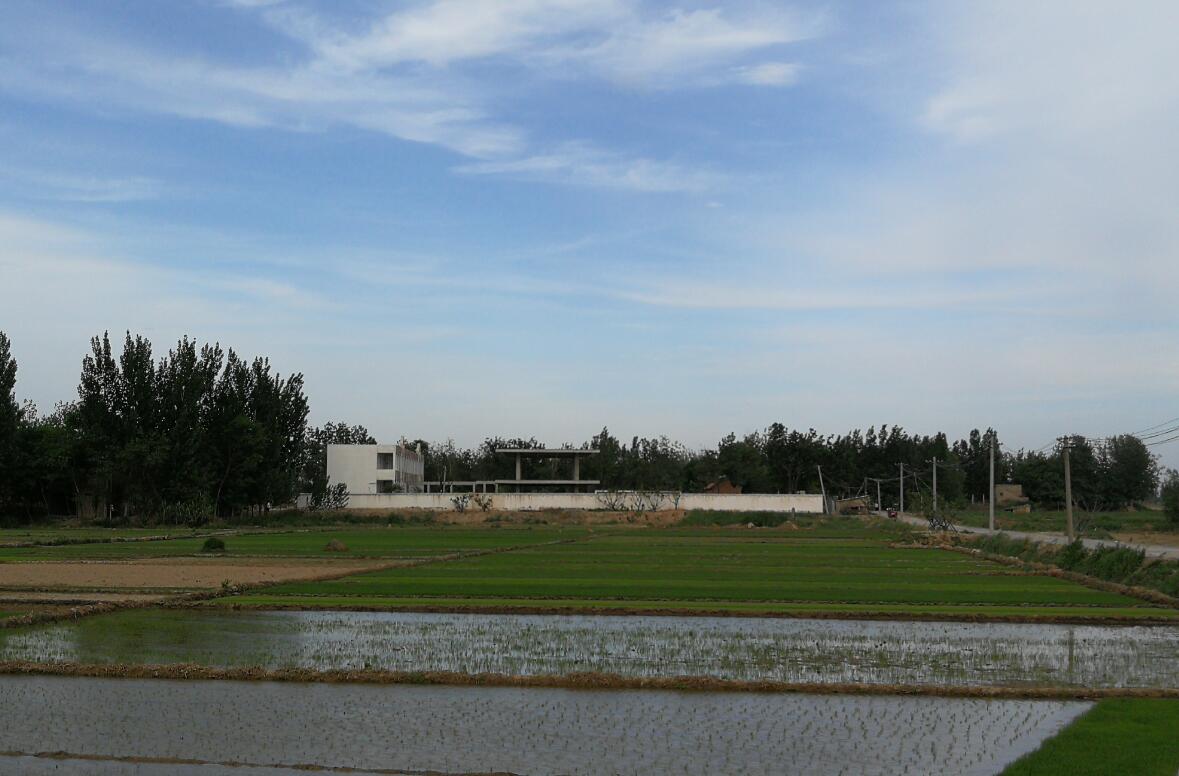 ���ѱ�����  �����l(xi��ng)�塱  ���S�Ļ�&�Ӵ�־Ը�߹����ؚ�Є�(d��ng)