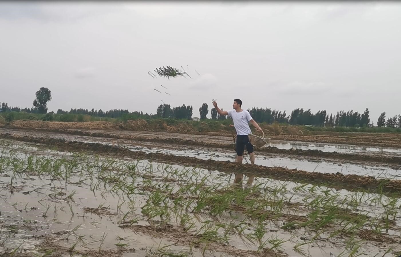 ���ѱ�����  �����l(xi��ng)�塱  ���S�Ļ�&�Ӵ�־Ը�߹����ؚ�Є�(d��ng)