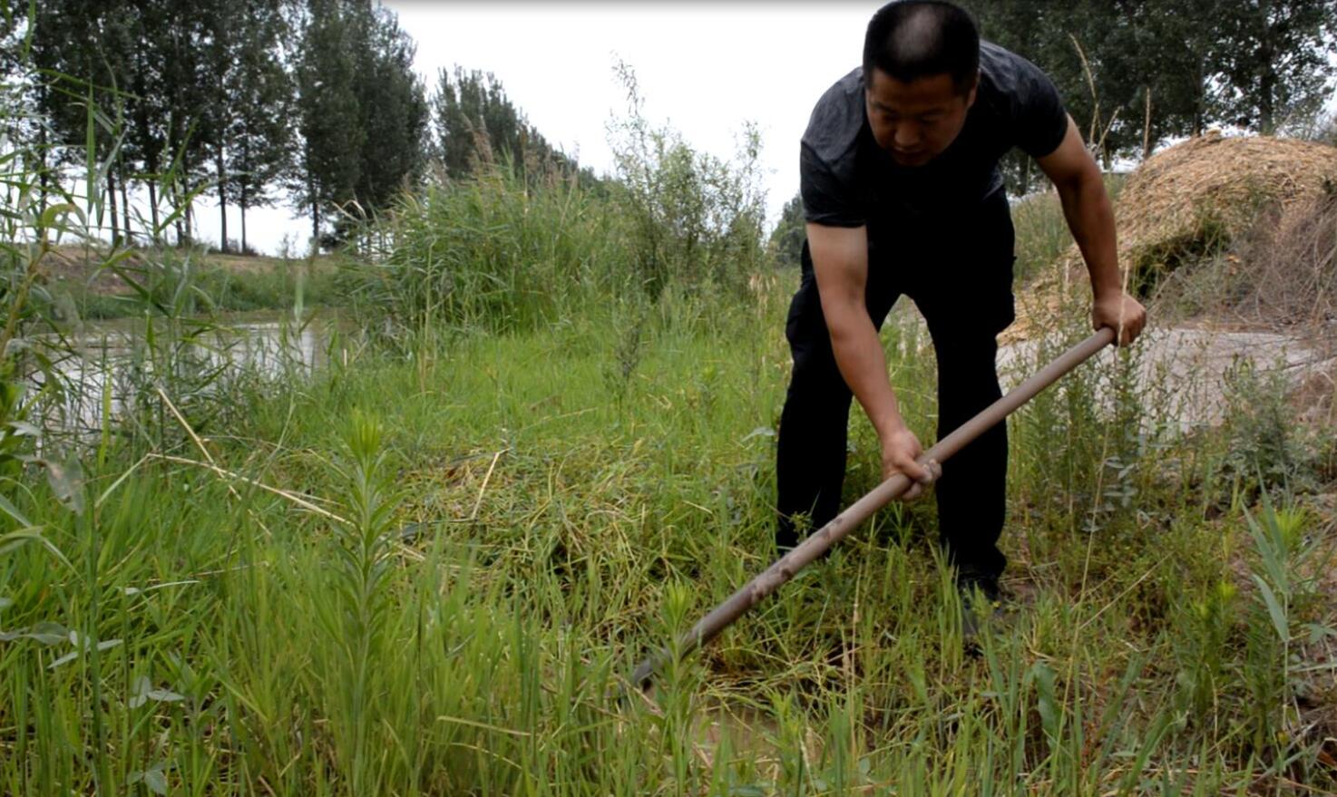 ���ѱ�����  �����l(xi��ng)�塱  ���S�Ļ�&�Ӵ�־Ը�߹����ؚ�Є�(d��ng)