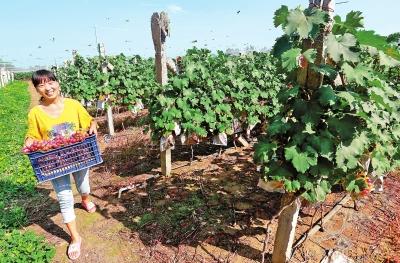 ���ϡ��w�㽛(j��ng)�����˄�Óؚ����