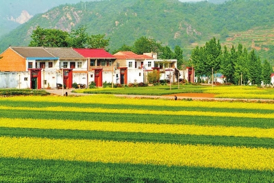 以3億元激活30億元 濟(jì)源助力現(xiàn)代農(nóng)業(yè)“輕裝快跑”