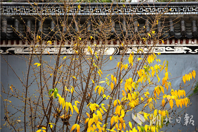 12��26�����ں������w��ԭ���ﾰ�^(q��)��ԭ���(n��i)�Ĕz��Ϟ÷��