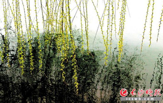 ��������κ��������µľG�z�{���ڴ��L���hʎ��Ԋ��M�@���Lɳ���ȫý�wӛ���ܰ�ƽ �z