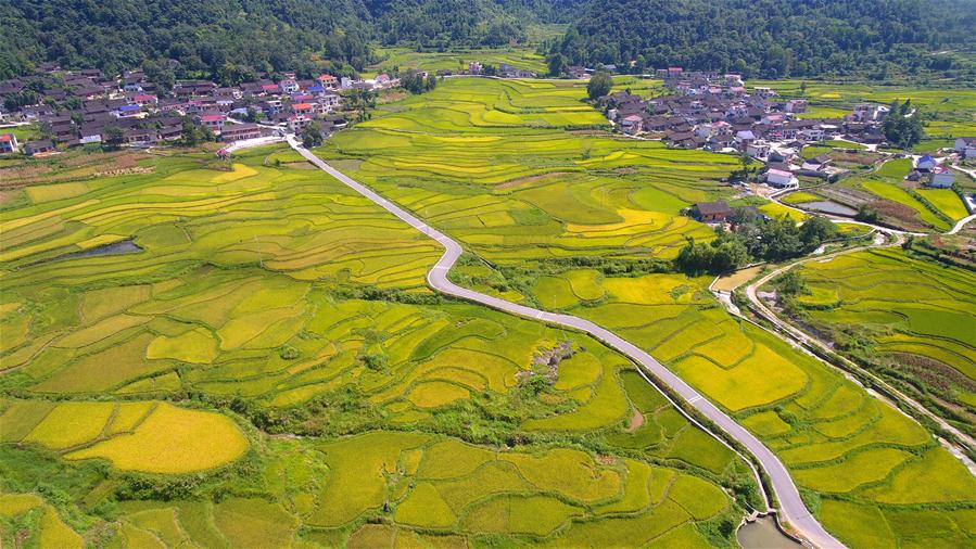 #���������5���S������